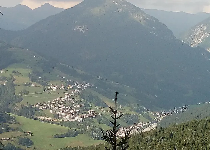 B&B Il Tulipano