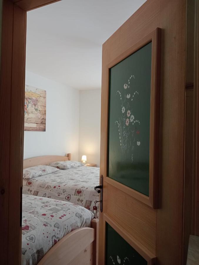 Il Tulipano