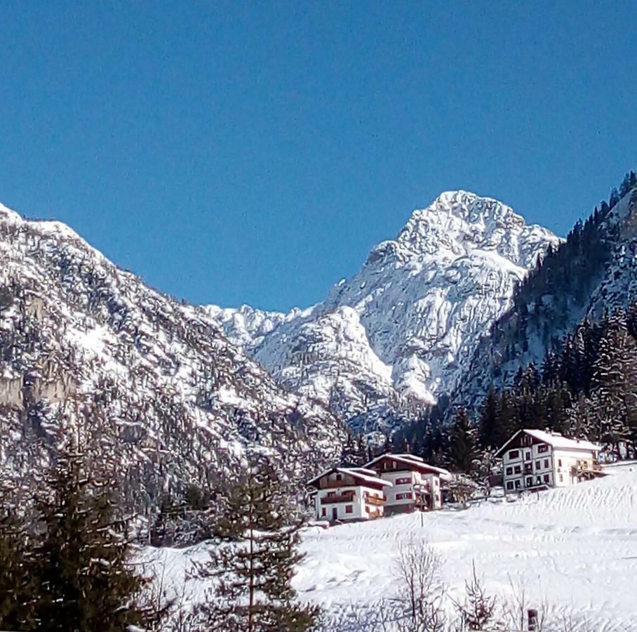 Bed & Breakfast Il Tulipano *