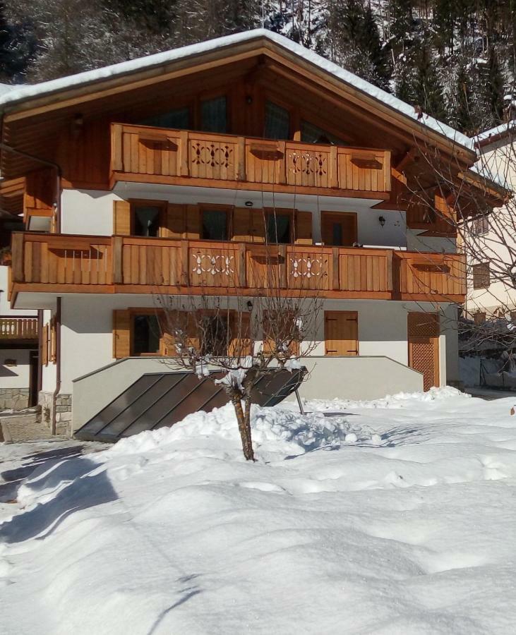 Bed & Breakfast Il Tulipano San Pietro di Cadore
