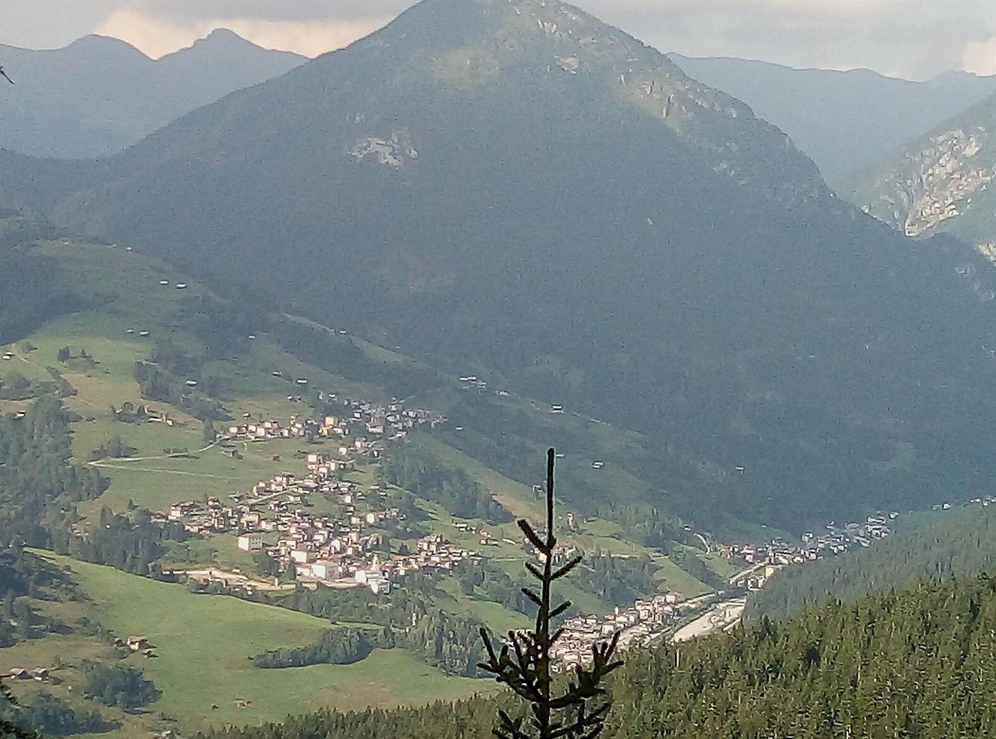 Il Tulipano