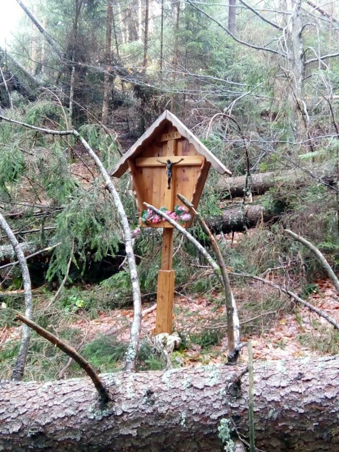 Il Tulipano Bed & Breakfast *