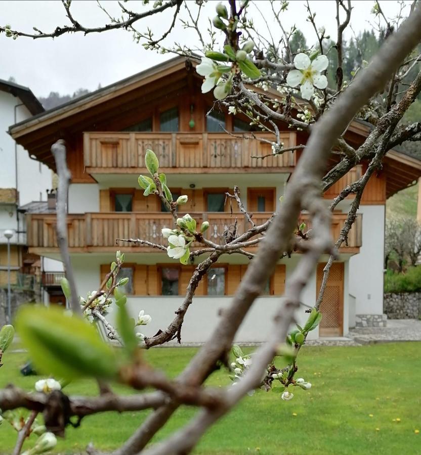 Il Tulipano Frühstückspension San Pietro di Cadore