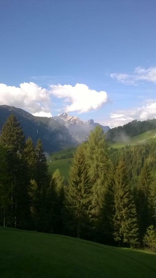 Il Tulipano