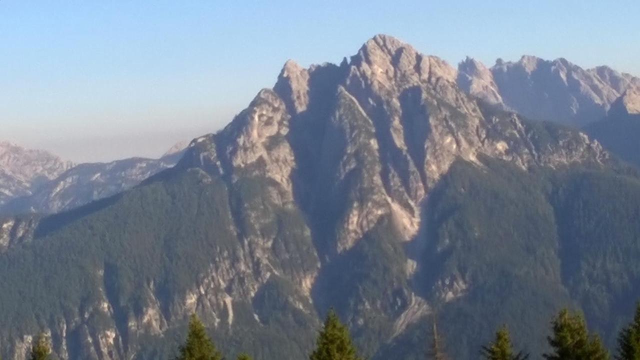 Il Tulipano *